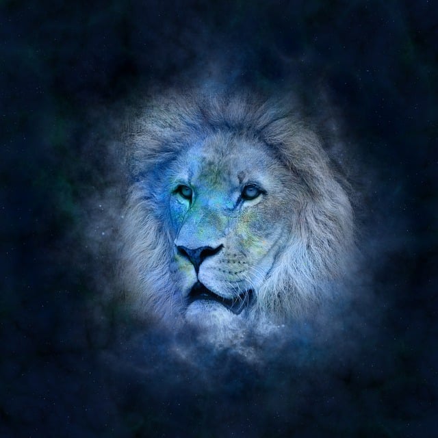 Protejat: Horoscop 2027 -Leu